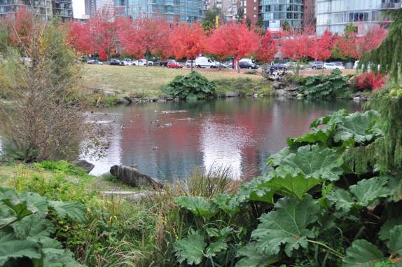O Outono chega em Vancouver, no Canadá